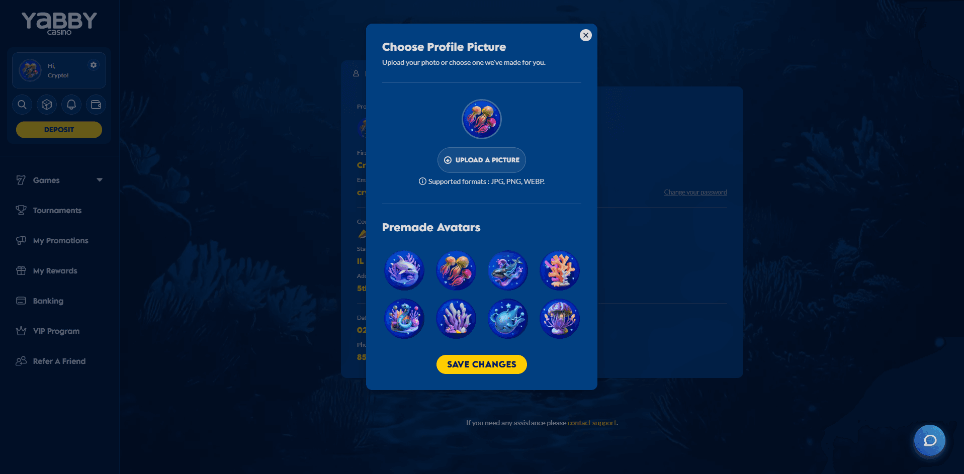 Navigation & Profile Picture System